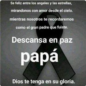 Meet your Posher, Carmen